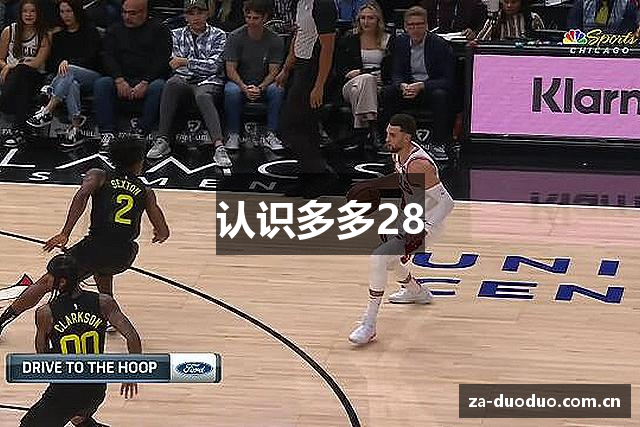 认识多多28